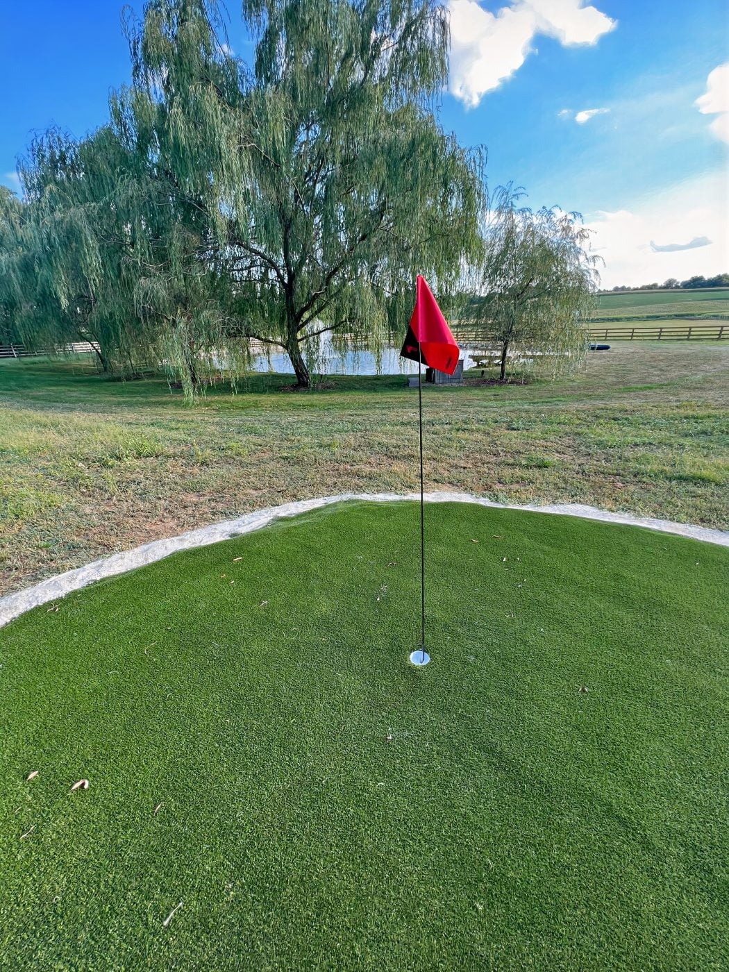 13._auto_x2_colored_toned_light_ai-scaled