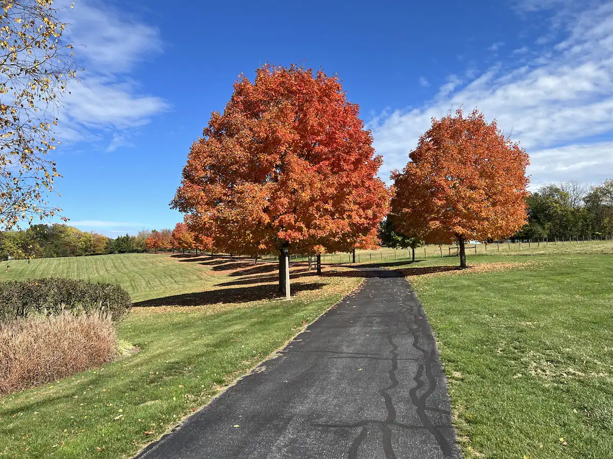 hershey-fall-foliage-1