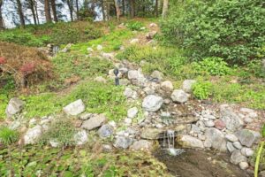 grandview-farm-gallery-image-31