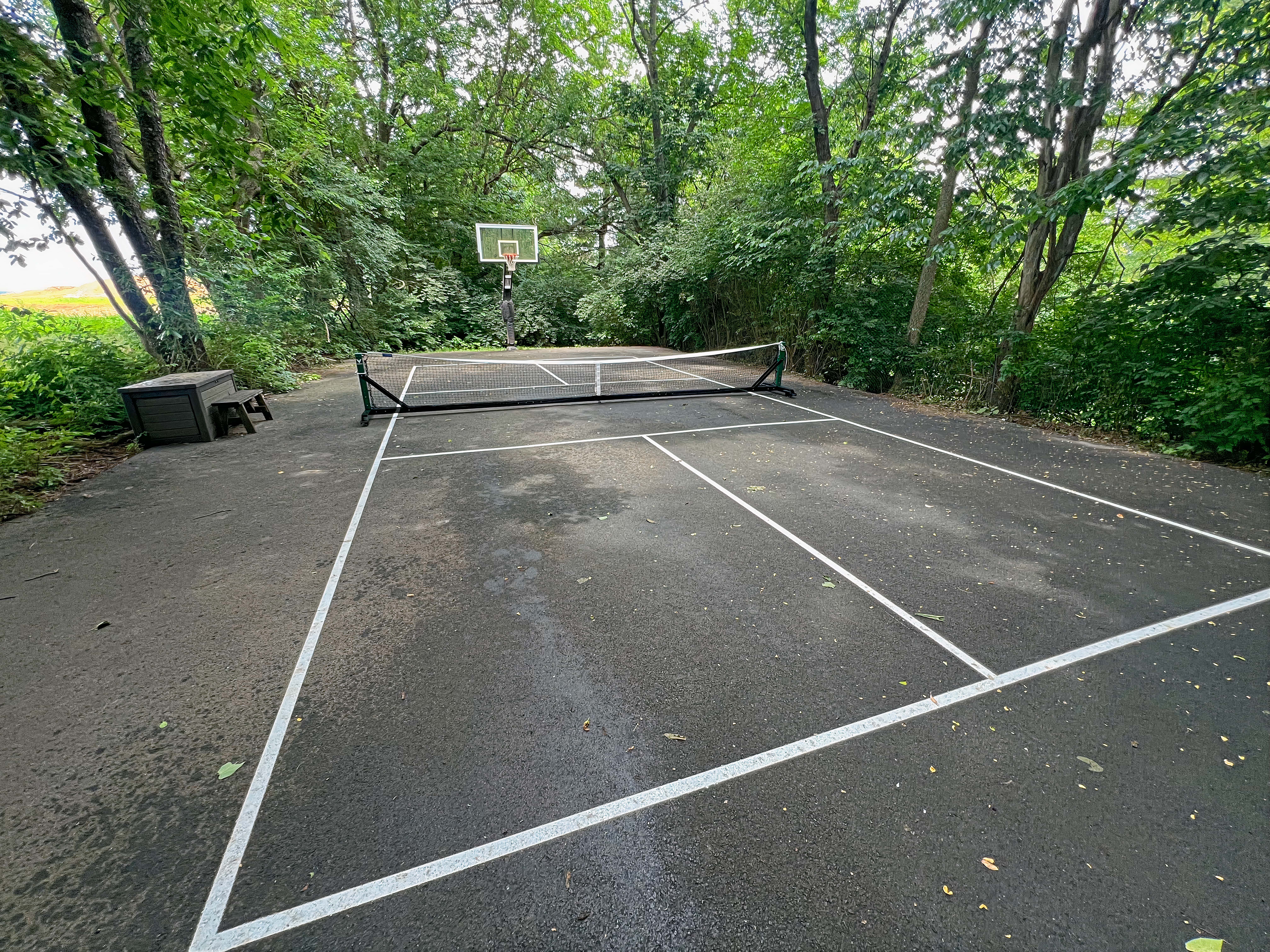 quittie basketballl-min